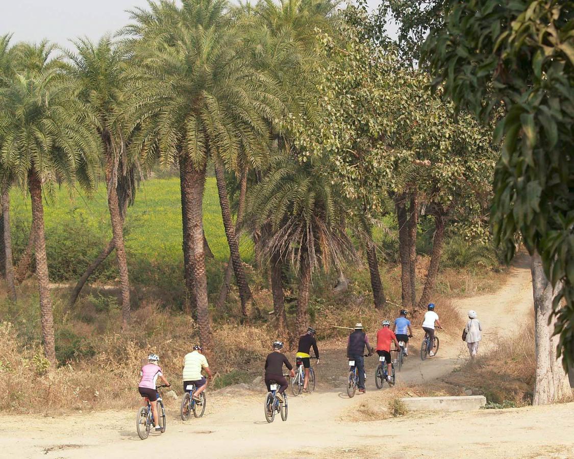מלון Shahpura Bagh מראה חיצוני תמונה
